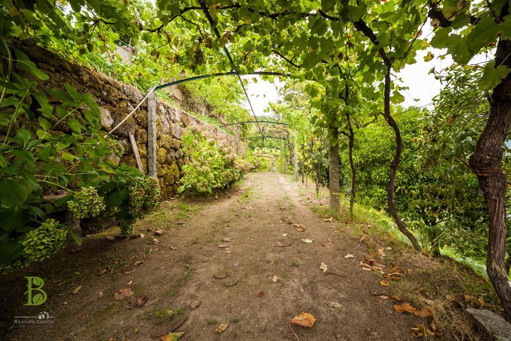 Quinta Da Bouca - Agroturismo Pacos de Gaiolo Pokoj fotografie