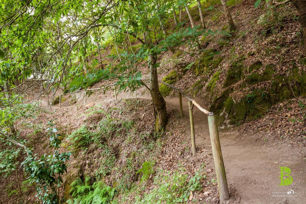 Quinta Da Bouca - Agroturismo Pacos de Gaiolo Pokoj fotografie