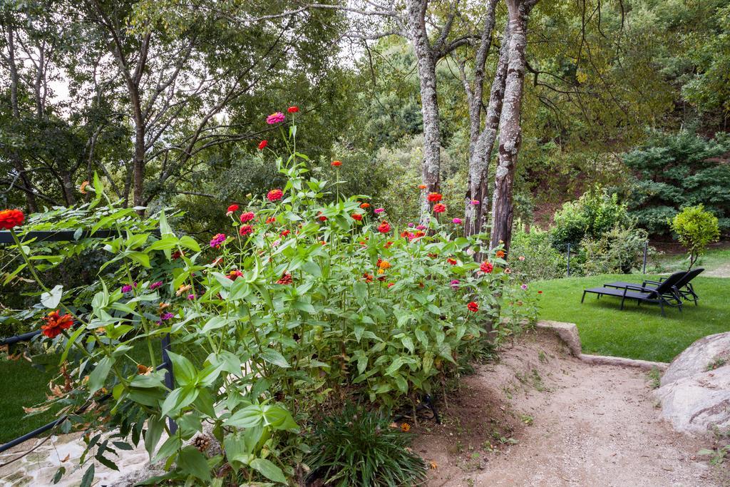 Quinta Da Bouca - Agroturismo Pacos de Gaiolo Pokoj fotografie